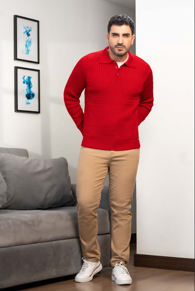 SWEATER CUELLO TIPO POLO - 5414